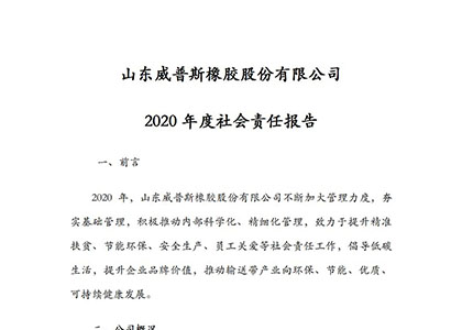 2020年度社會責(zé)任報告